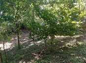 Satılır 3 otaqlı həyət evi/bağ evi 70 m², photo 8 from 8