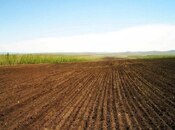 Elan №5939878 - Ağsu, Ağsu, 1000 sot