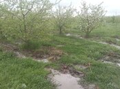 Продаётся  участок 150 сот, photo 3 from 6