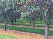 Продаётся  участок 150 сот, photo 5 from 6