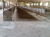 Satılır  obyekt 3 600 m², photo 5 from 8