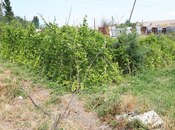 Satılır  obyekt 3 600 m², photo 8 from 8