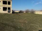Satılır  torpaq 24 sot, Albalılıq q., photo 6 from 8