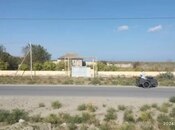 Elan №5940021 - Neftçala, Neftçala, 30 sot