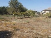 Satılır  torpaq 30 sot, photo 2 from 3