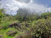 Satılır  torpaq 18 sot, Maştağa q., photo 4 from 8