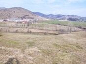 Satılır  torpaq 50 sot, photo 2 from 3