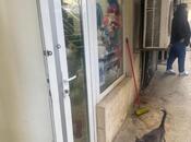 İcarəyə verilir  obyekt 10 m², Qara Qarayev m., photo 8 from 8