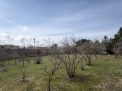 Продаётся  участок 22 сот, пос. Мардакан, photo 8 from 8