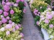 Продаётся 8-комн. дом/дача 200 м², пос. Новханы, photo 7 from 8