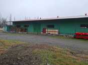 Elan №5941289 - İsmayıllı, İsmayıllı, 1019.2 m²