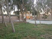 Продаётся 4-комн. дом/дача 160 м², пос. Мардакан, photo 3 from 8