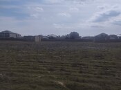 Satılır  torpaq 30 000 sot, Binə q., photo 7 from 8