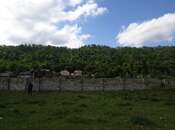 Продаётся  участок 400 сот, Хачмазский р., photo 5 from 5