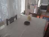 Продаётся 2-комн. вторичка 65 м², м. Ичеришехер, photo 6 from 8