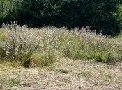 Продаётся 3-комн. дом/дача 95 м², photo 4 from 8