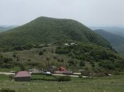 Elan №5942224 - Şamaxı, Şamaxı, 90 sot