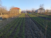 Продаётся  участок 8 сот, photo 5 from 6