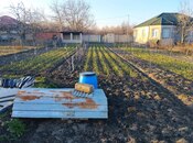 Объявление №5942437 - Губа, Губа, 8 сот