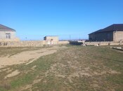 Объявление №5942559 - Баку, пос. Мамедли, 2 сот