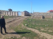 Продаётся  участок 2 сот, пос. Мамедли, photo 3 from 4