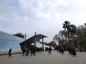 Сдаётся  объект 55 м², м. Ичеришехер, photo 3 from 4