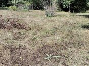 Продаётся  участок 20 сот, photo 2 from 4