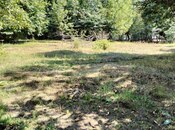 Продаётся  участок 20 сот, photo 4 from 4