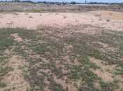 Satılır  torpaq 6 sot, Nardaran q., photo 7 from 8