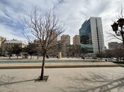 Сдаётся 1-комн. офис 25 м², м. Низами, photo 3 from 8