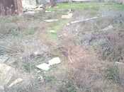 Satılır  torpaq 2.8 sot, Badamdar q., photo 2 from 4