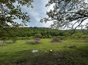 Satılır  torpaq 40 sot, photo 2 from 3