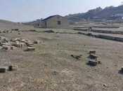 Объявление №5944252 - Сумгаит, Сумгаит, 6 сот