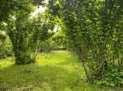 Satılır  torpaq 50 sot, photo 4 from 4