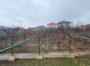 Satılır  torpaq 10 sot, Savalan q., photo 6 from 6