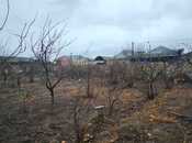 Satılır  torpaq 10 sot, Savalan q., photo 2 from 6