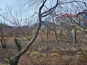 Объявление №5944510 - Баку, пос. Савалан, 10 сот