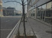 Сдаётся  объект 130 м², пос. Аг шехер, photo 5 from 5