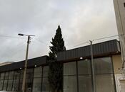 Сдаётся  объект 60 м², м. Халглар Достлугу, photo 4 from 4