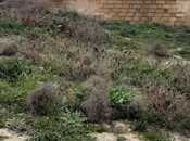 Satılır  torpaq 2.6 sot, Badamdar q., photo 6 from 8