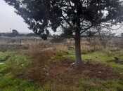 Продаётся  участок 100 сот, пос. Пута, photo 4 from 4