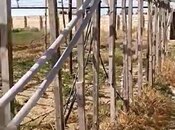 Продаётся  участок 700 сот, пос. Зире, photo 3 from 8