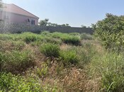 Elan №5945726 - Bakı, Nardaran q., 5.5 sot