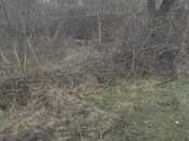 Продаётся  участок 10 сот, photo 4 from 8