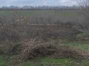 Объявление №5945839 - Губа, Губа, 10 сот