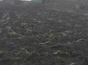 Продаётся  участок 10 сот, photo 8 from 8