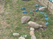 Satılır  torpaq 1 sot, photo 3 from 6