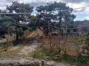 Продаётся  участок 72 сот, пос. Шувеляны, photo 3 from 6