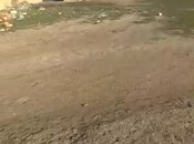 Elan №5946193 - Bakı, Atyalı q., 10 sot