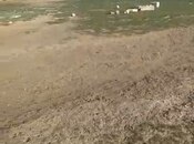 Satılır  torpaq 10 sot, Atyalı q., photo 4 from 8